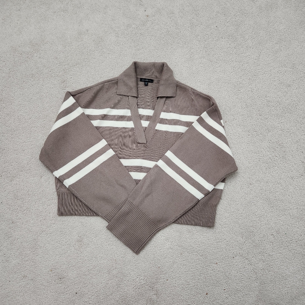 Dynamite cropped style collared sweater